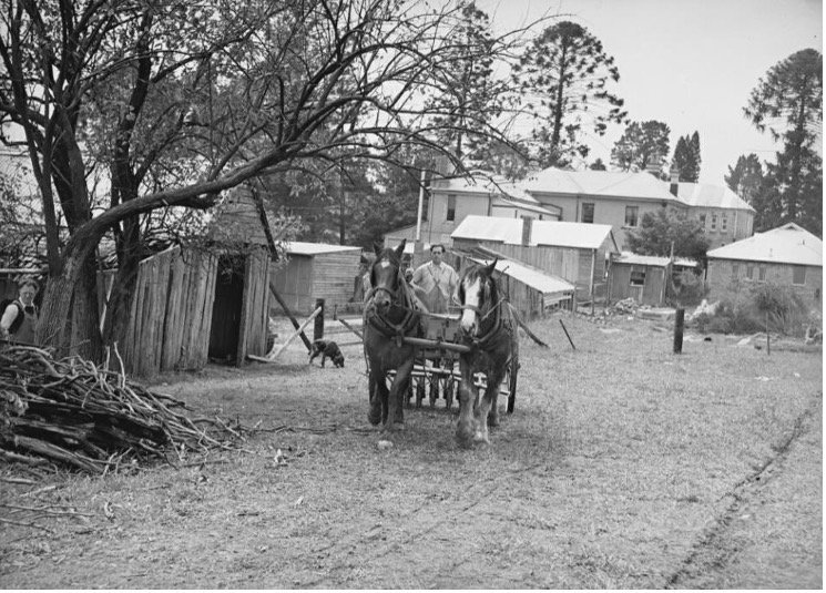 Chelsea Park Training Farm photo