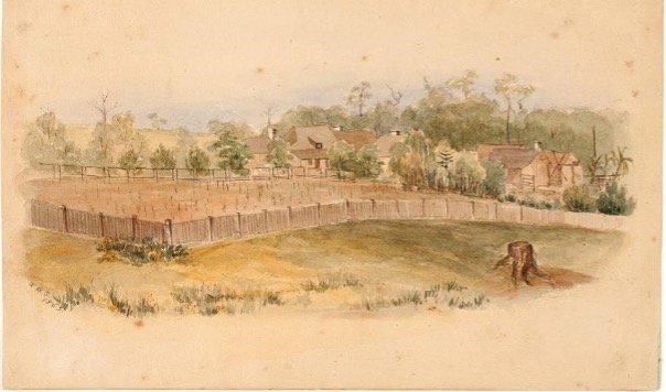William Butler Simpson illustration