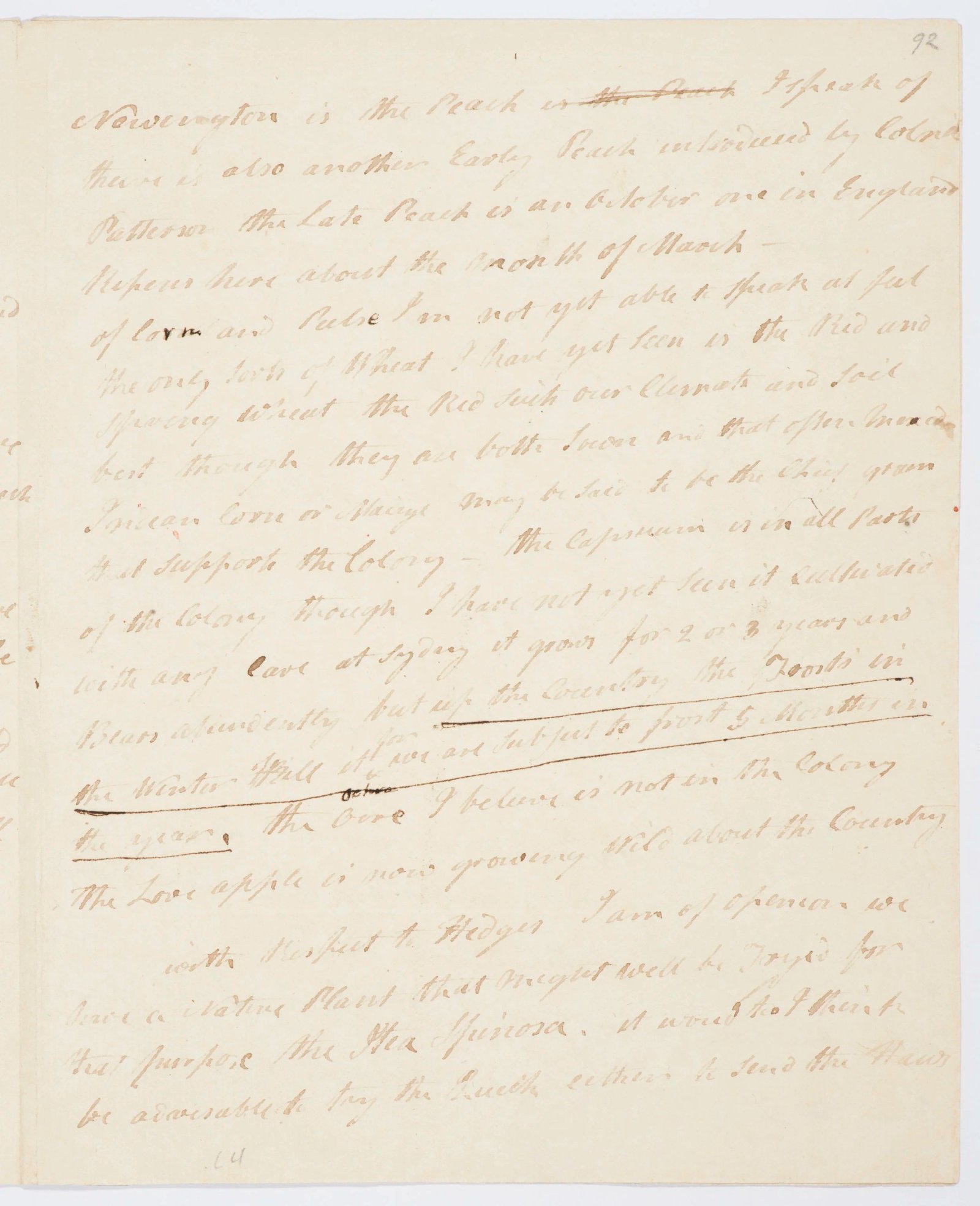 Letter on colonial horticulture and agriculture, page 2
