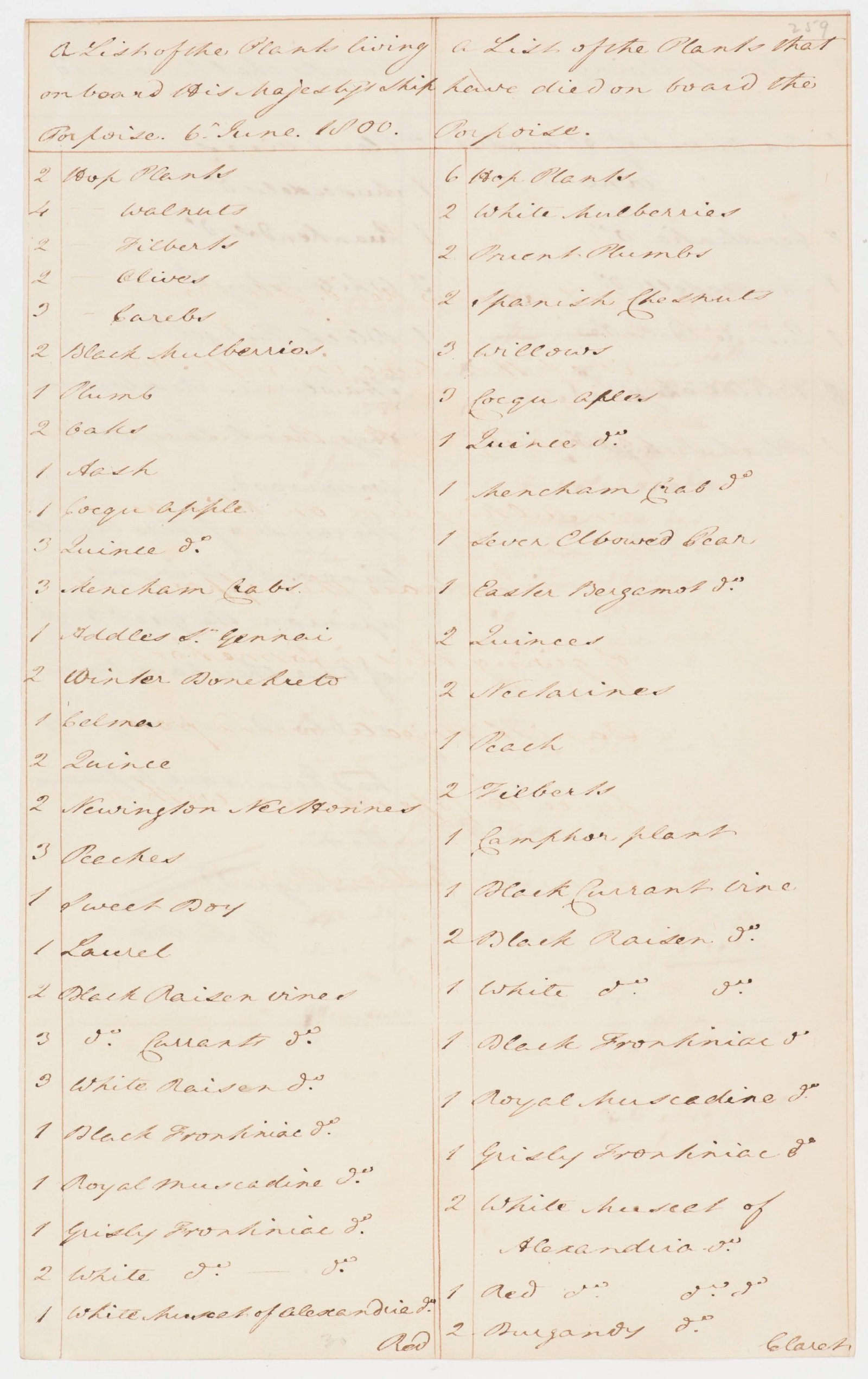 Botany Collection letter, page 2