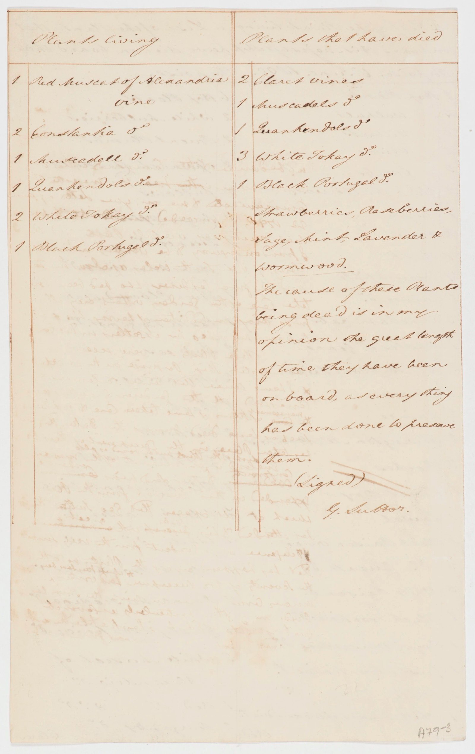 Botany Collection letter, page 3