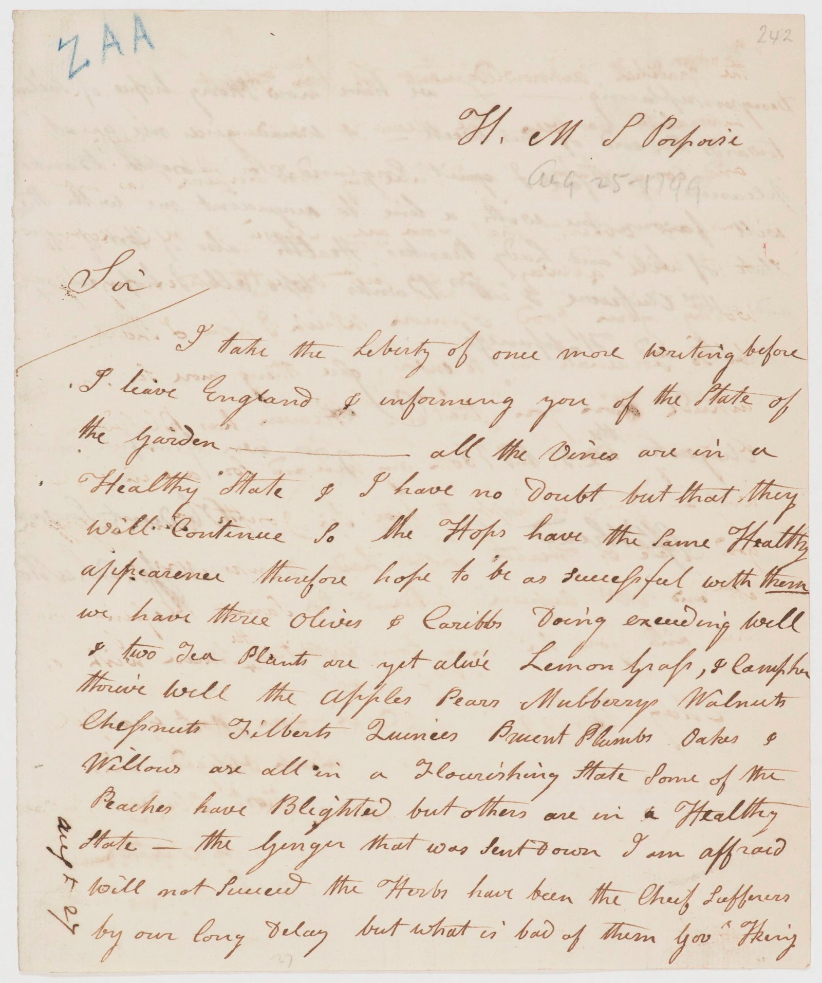 Letter on the state of the onboard garden, page 2