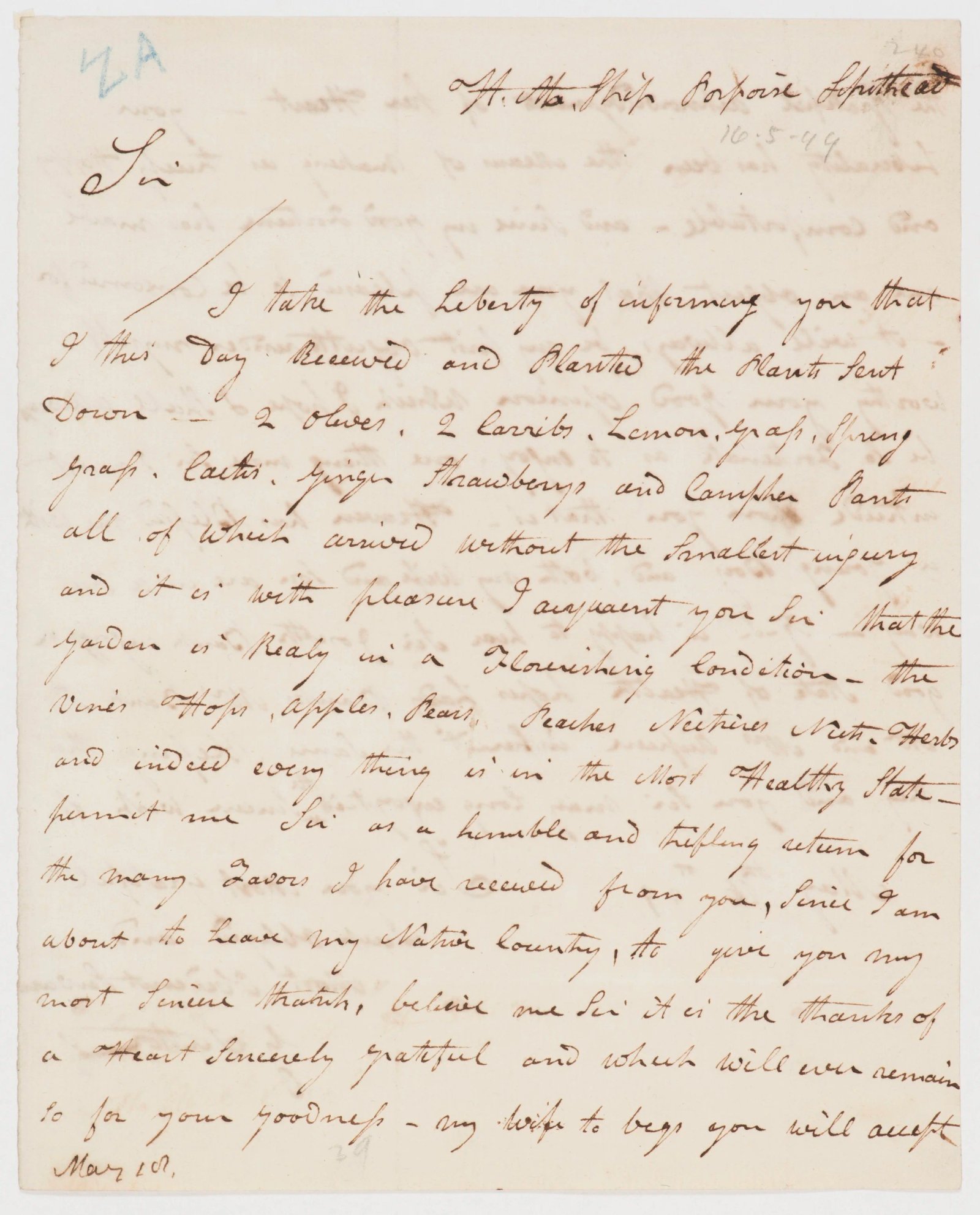 Letter confirming safe receipt of plants, page 2