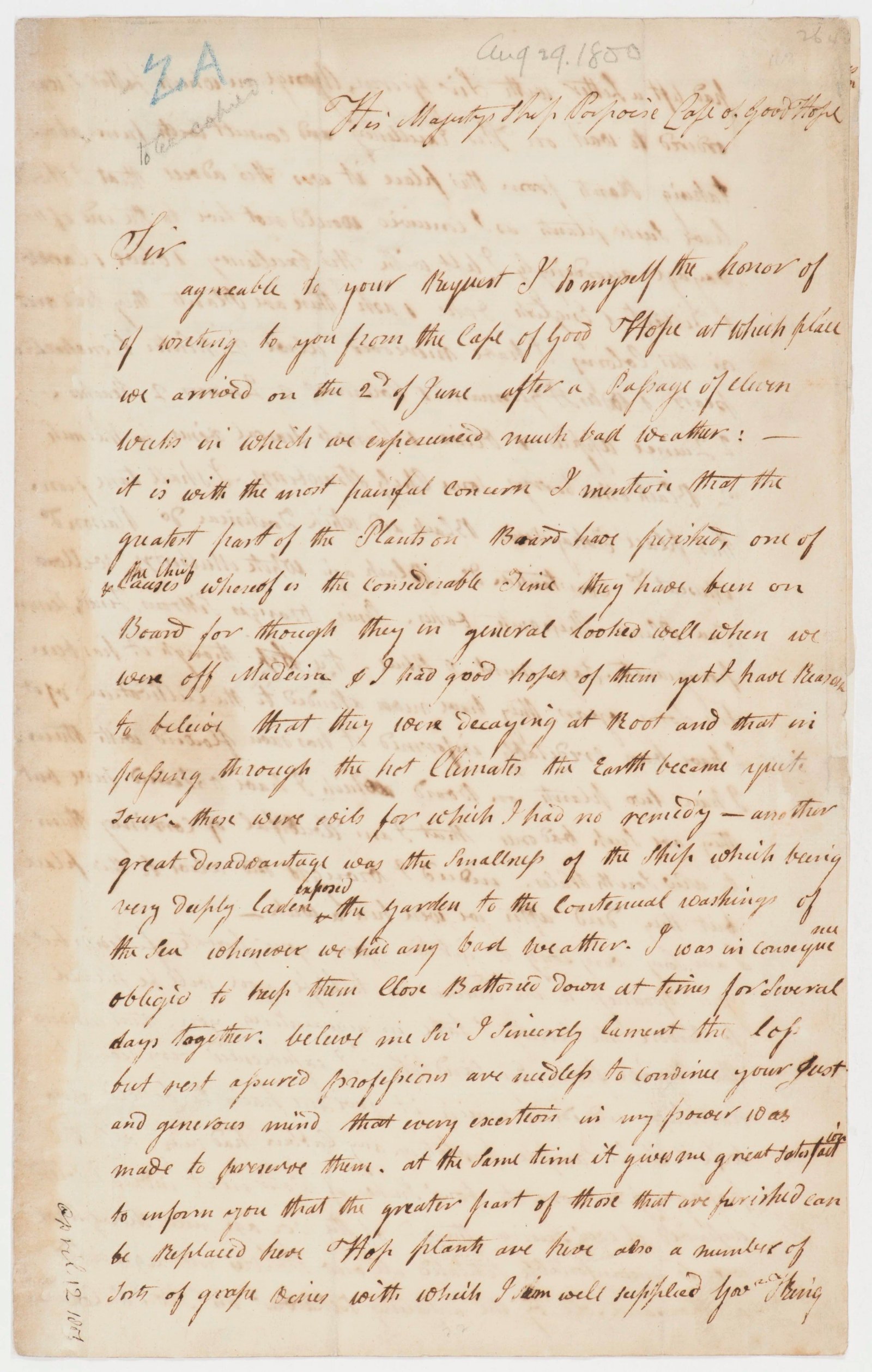Letter reporting on plants during voyage, page 4