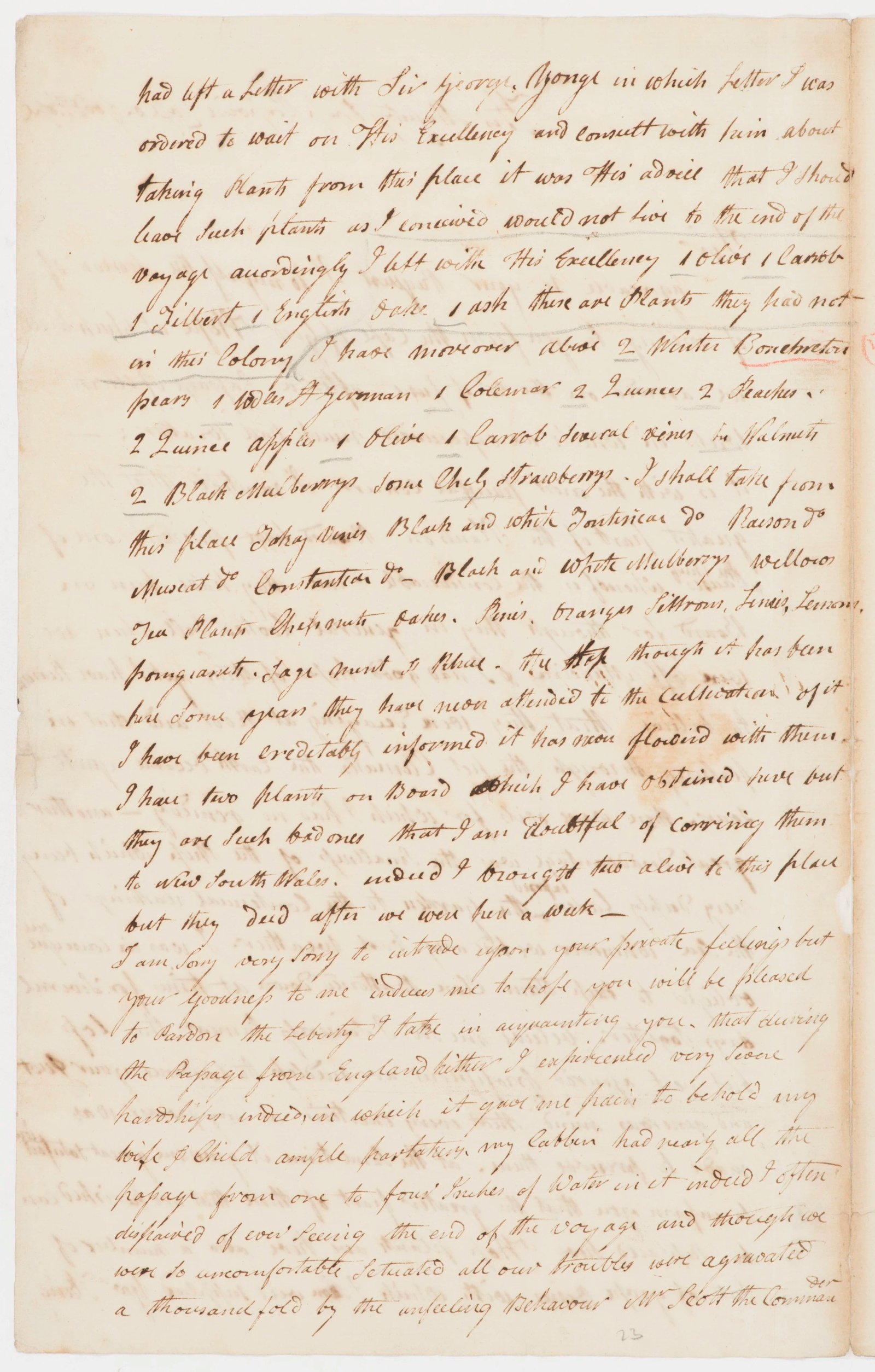 Letter reporting on plants during voyage, page 1