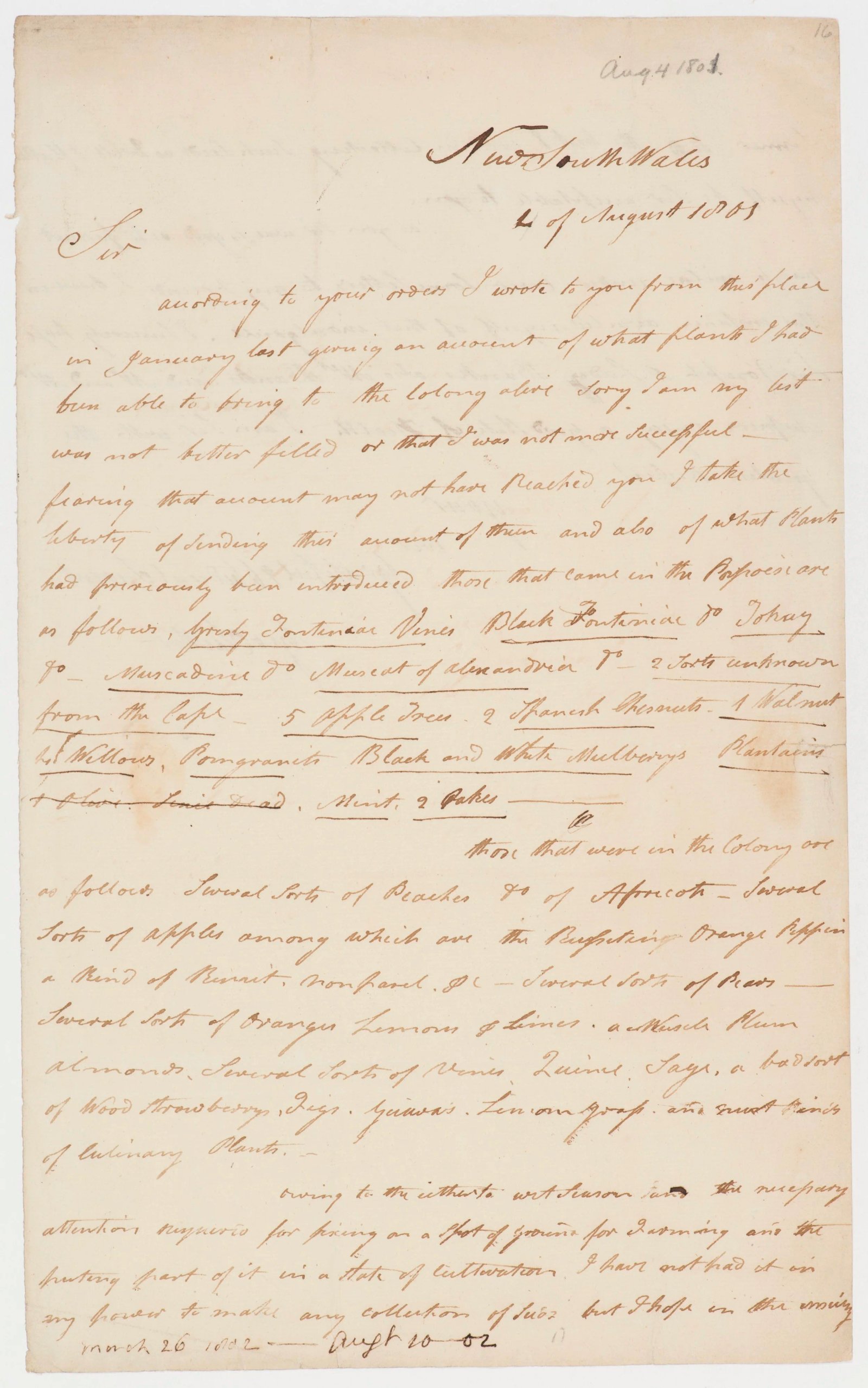 Letter reporting on plant life, page 2