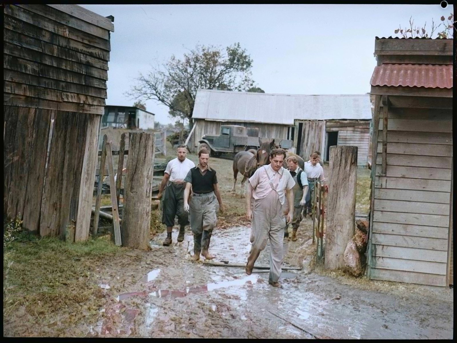 Colourised AJWS photograph