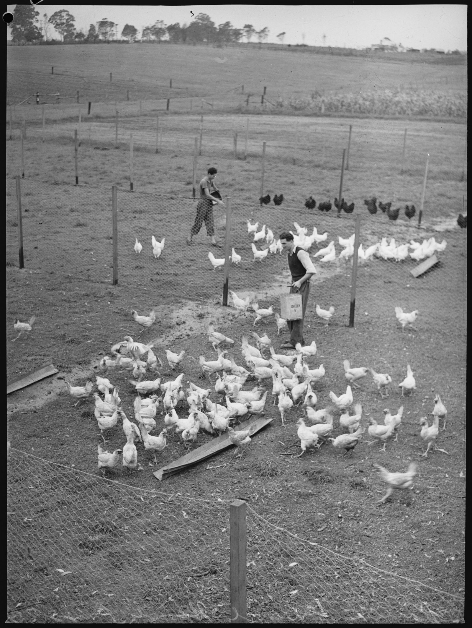 Original black and white photograph