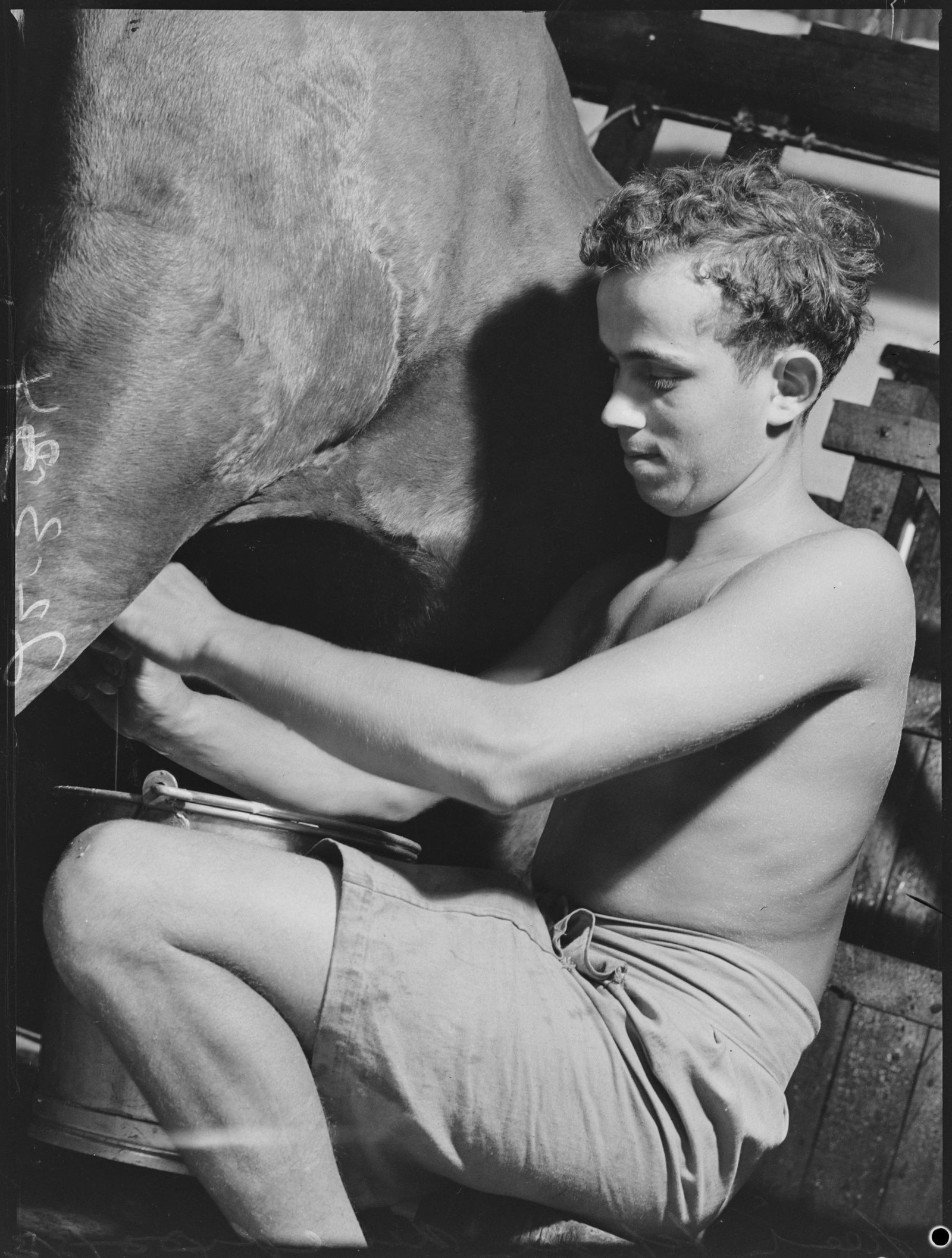 Original black and white photograph