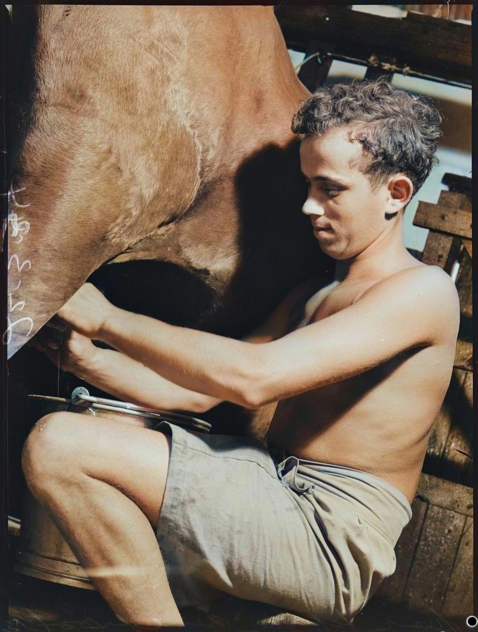 Colourised
