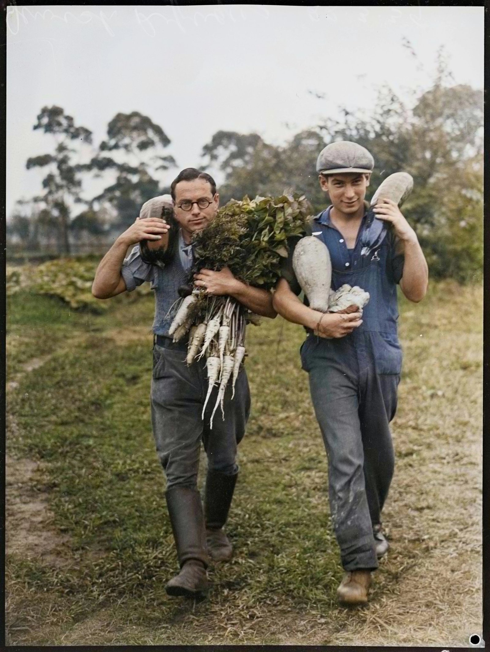 Colourised