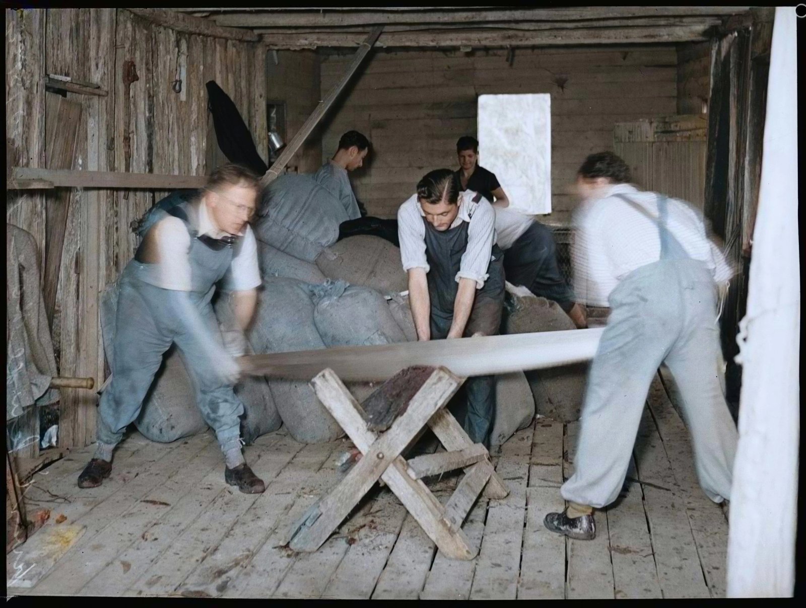 Colourised