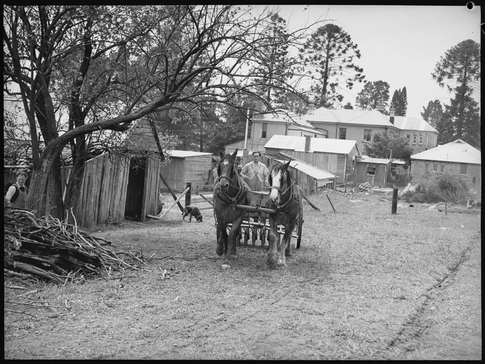 Original black and white photograph