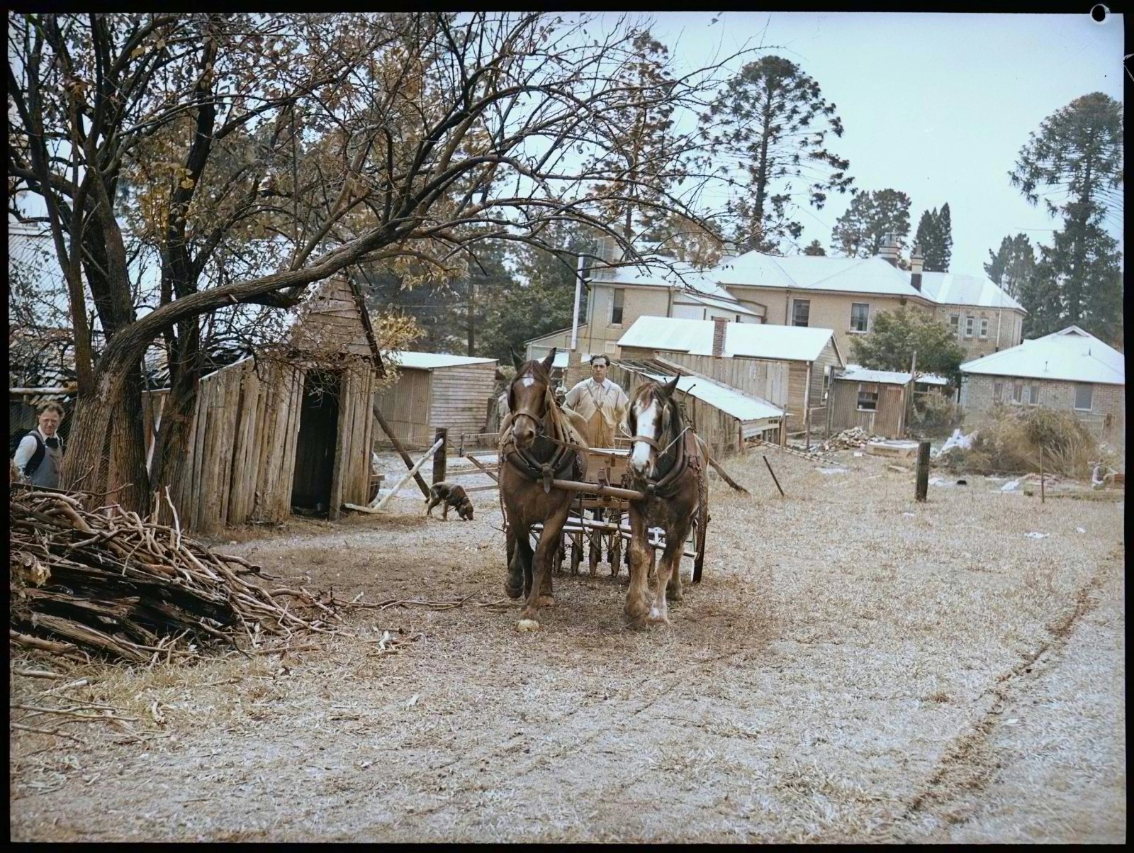 Colourised