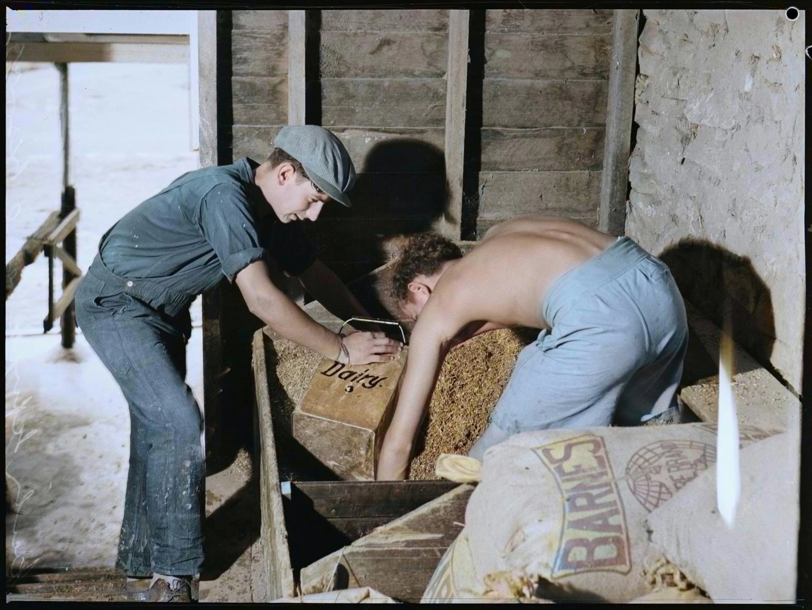Colourised