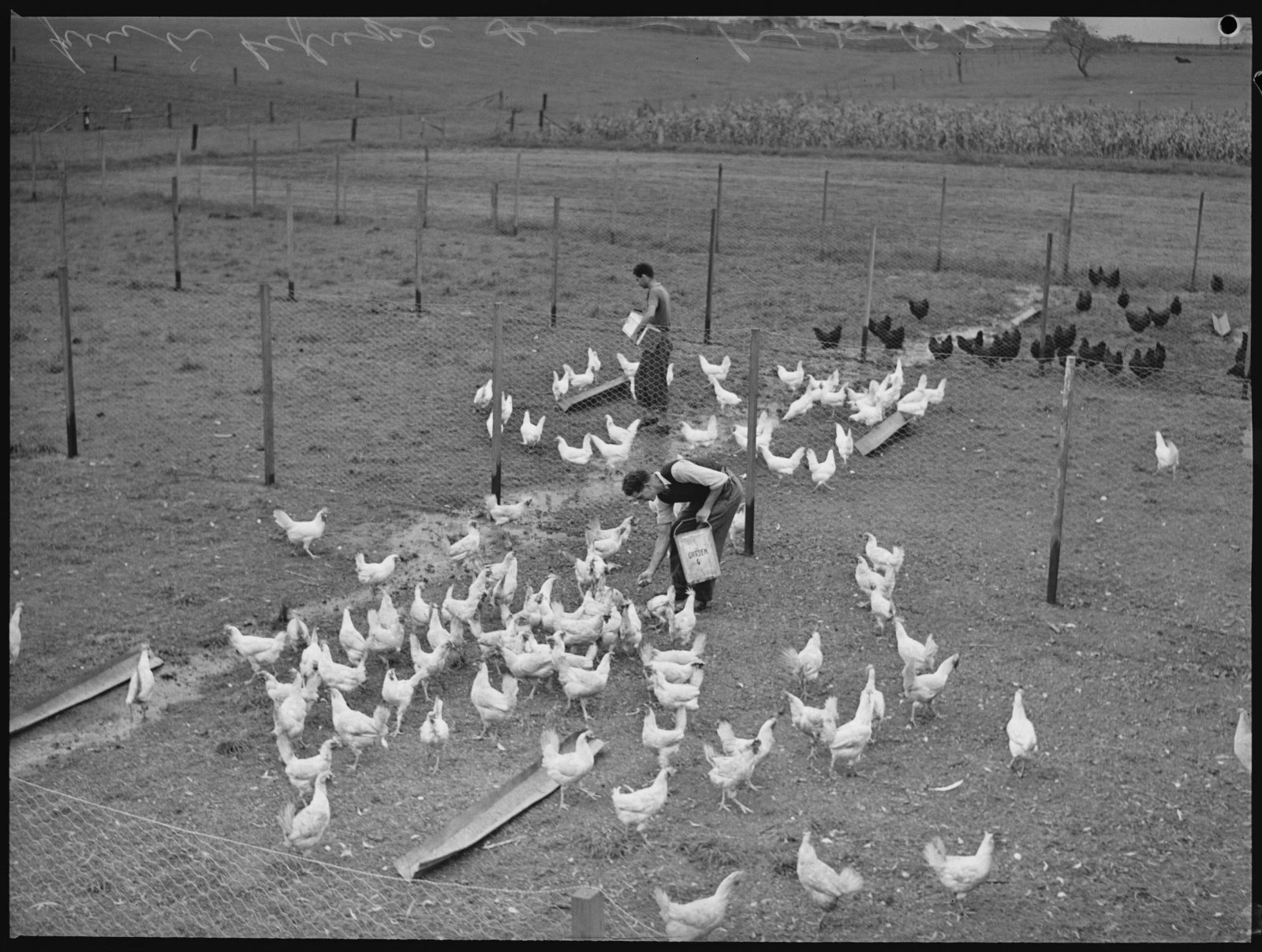 Original black and white photograph