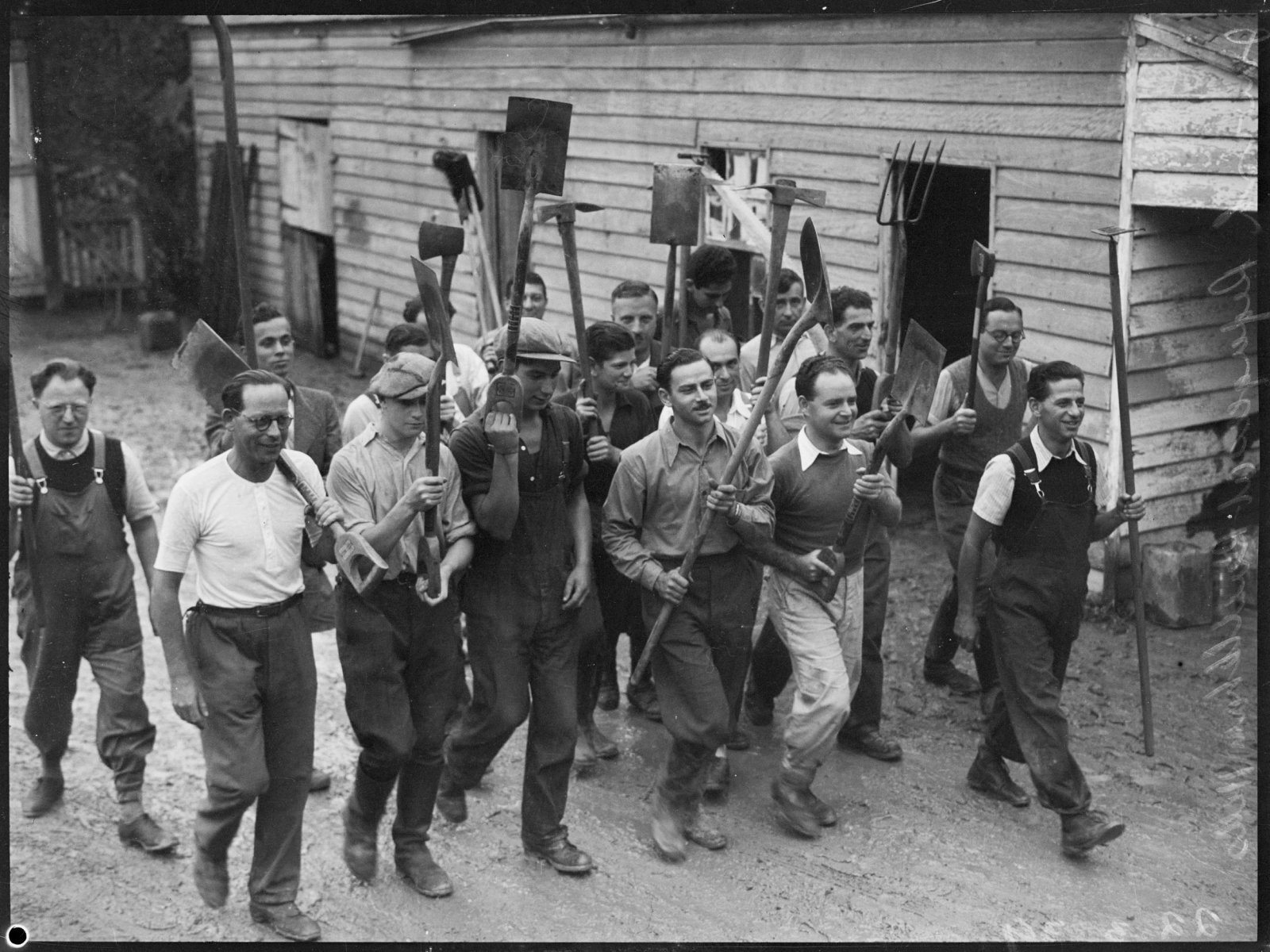 Australian Jewish Welfare Society farming trainees