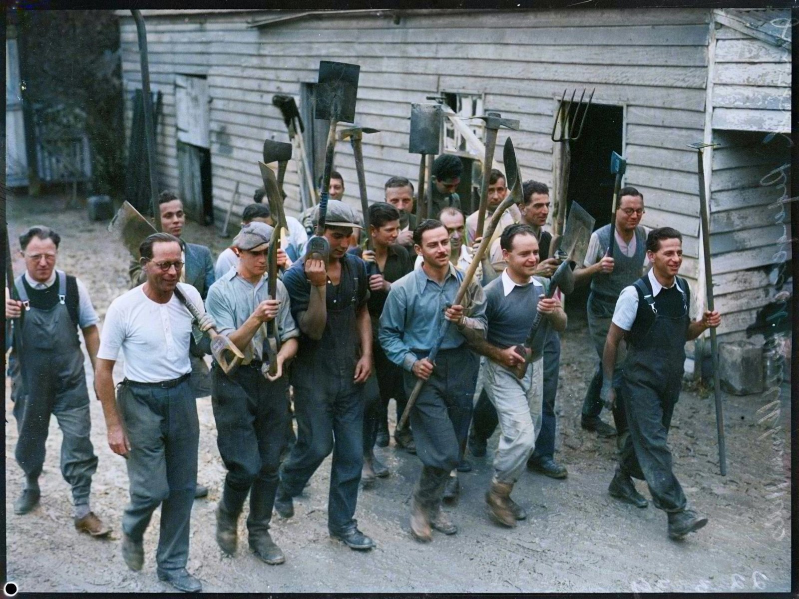 Colourised
