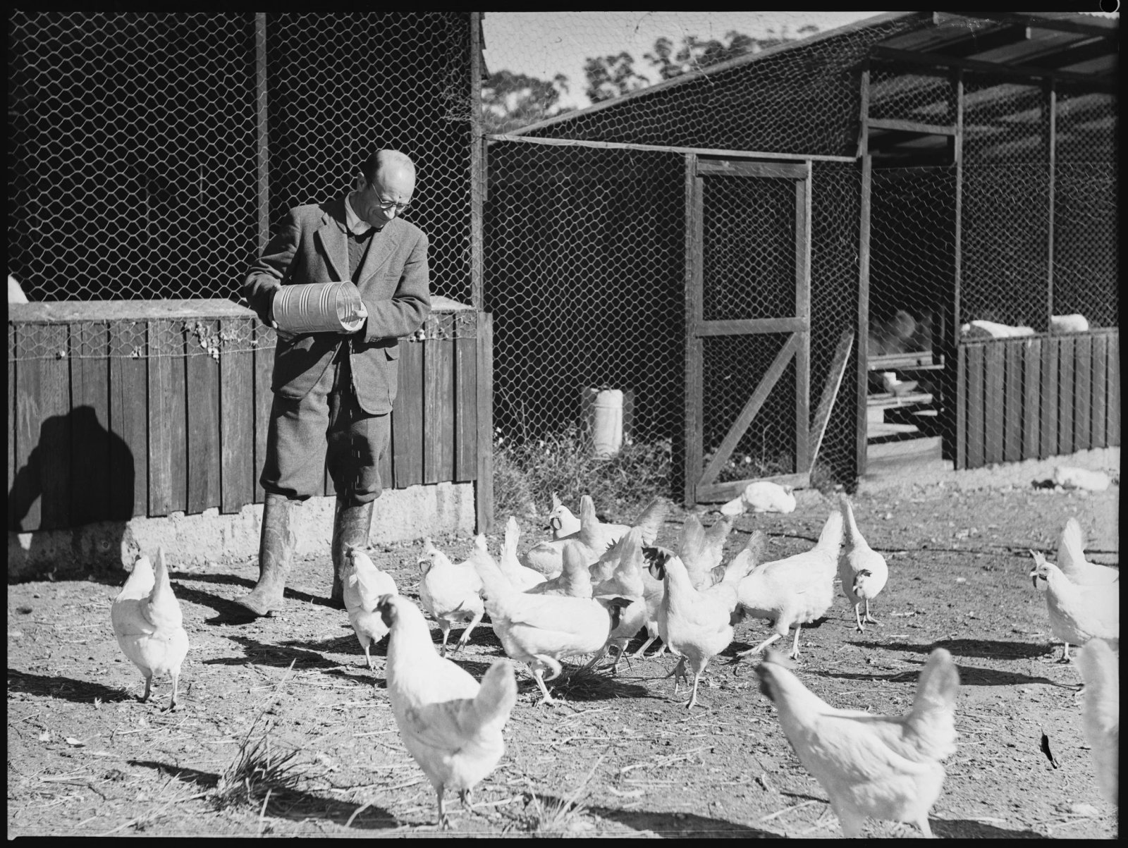 AJWS trainees at Chelsea Farm, 20th July 1939