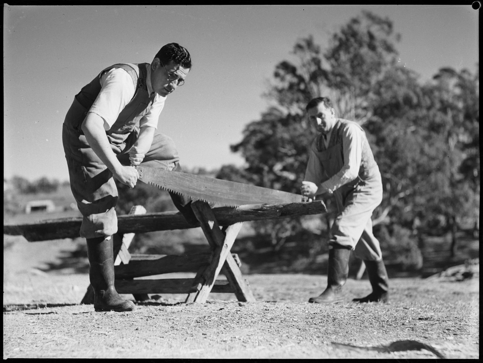 AJWS trainees at Chelsea Farm, 20th July 1939