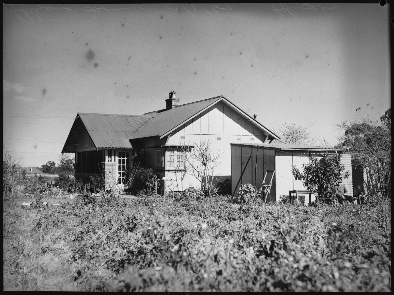 AJWS trainees at Chelsea Farm, 20th July 1939
