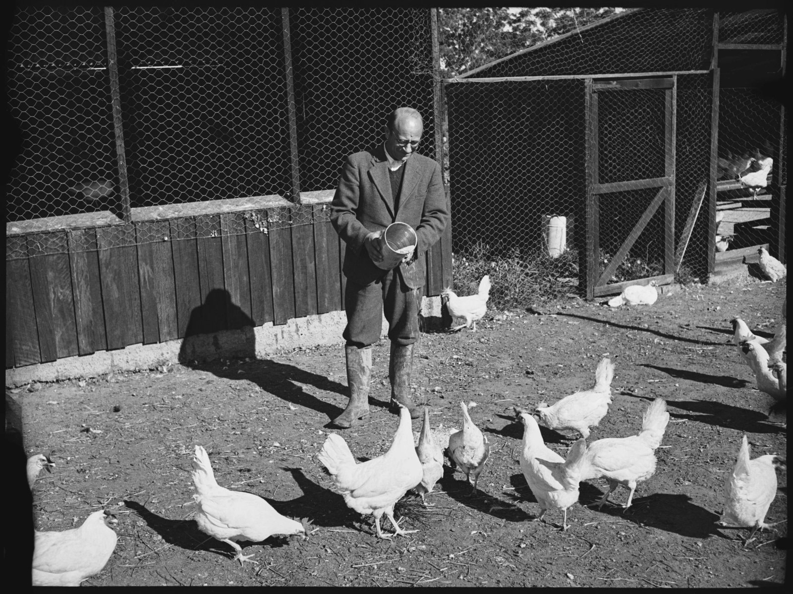 AJWS trainees at Chelsea Farm, 20th July 1939